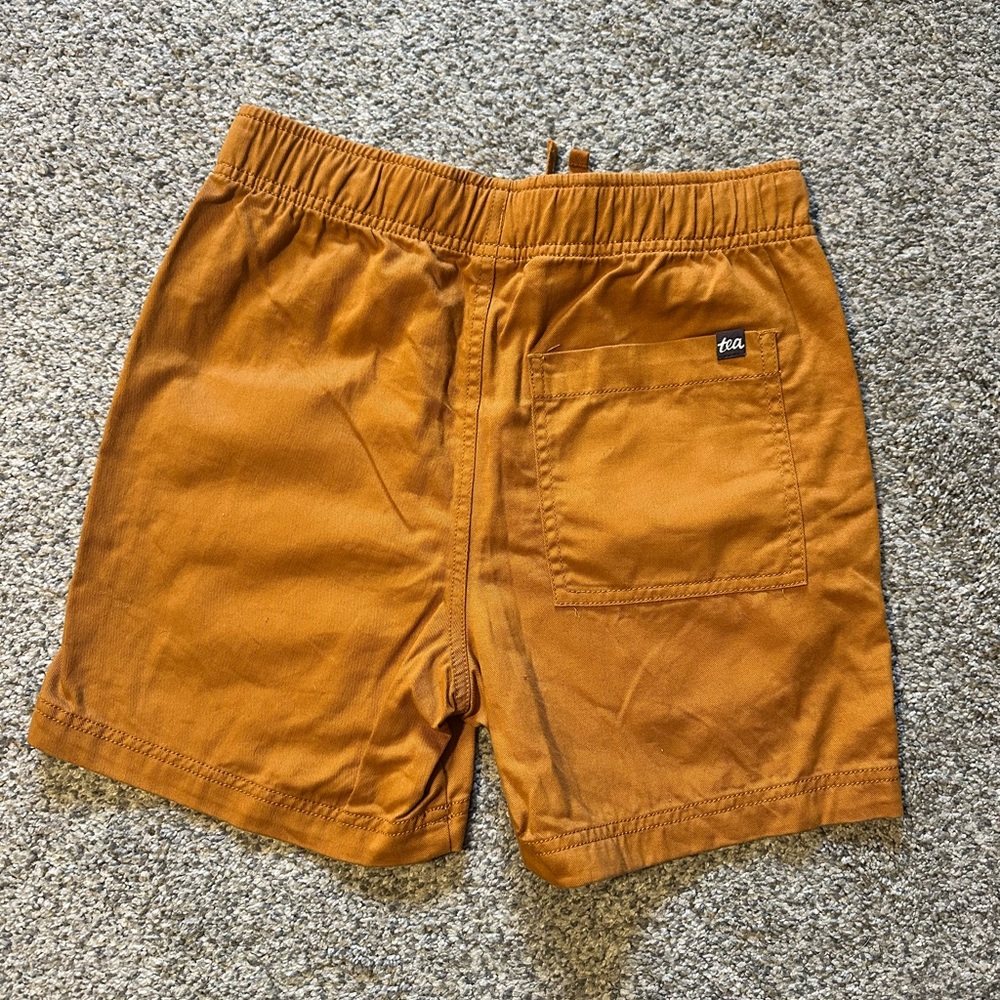 Tea Collection Shorts - Picture 2 of 3